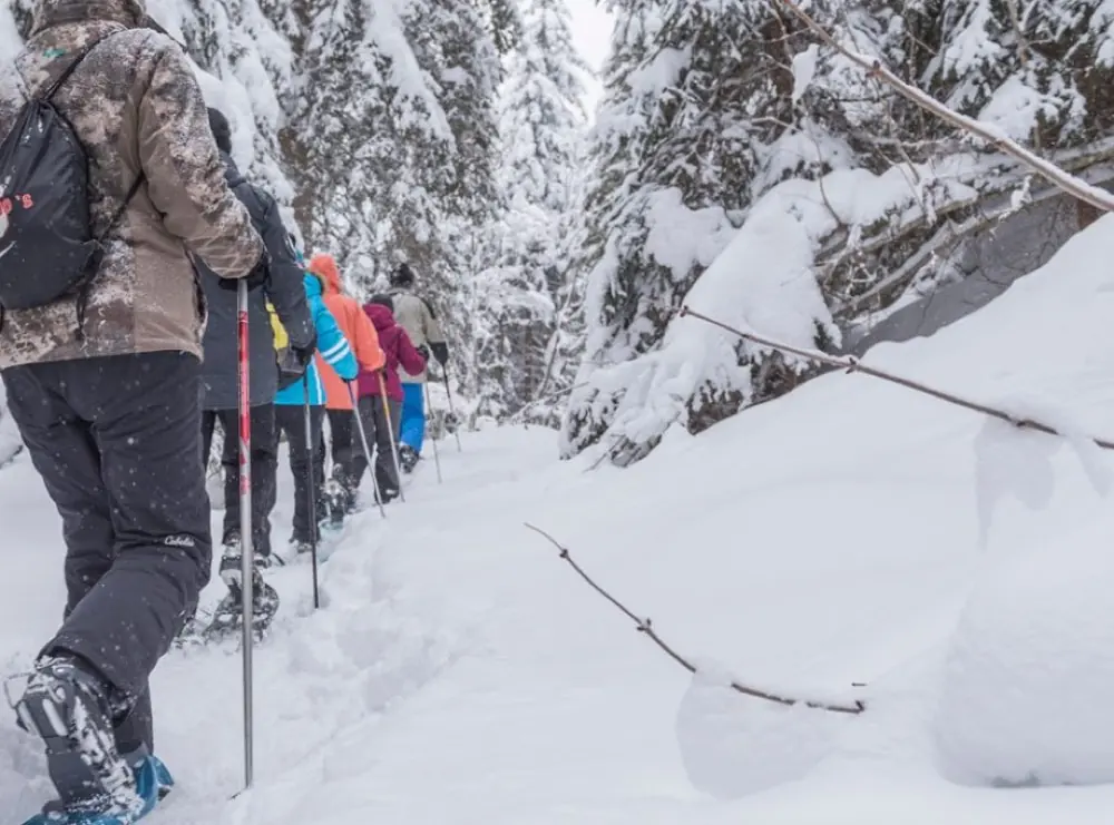 Verschneiter Panoramaweg beim Winterwandern in Gastein